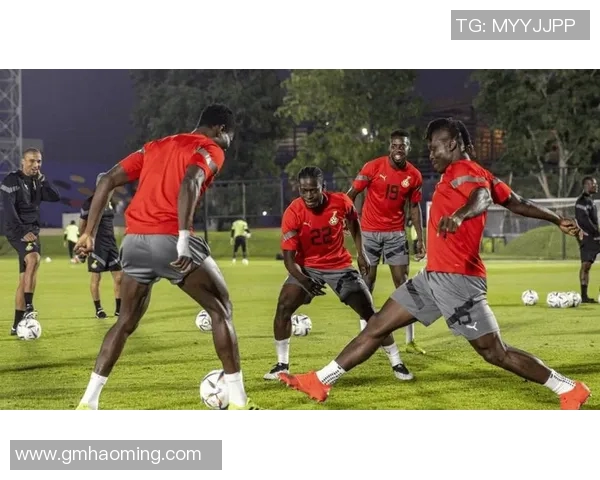 加纳球星在世界足球舞台上的辉煌历程与激情瞬间