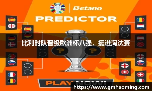 比利时队晋级欧洲杯八强，挺进淘汰赛