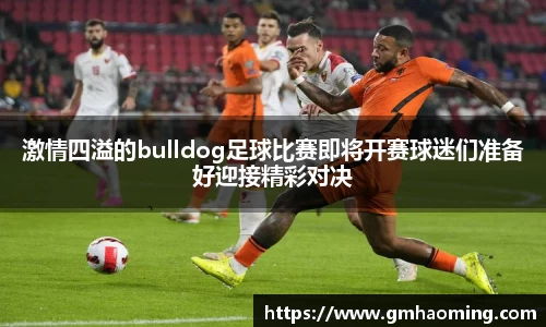 激情四溢的bulldog足球比赛即将开赛球迷们准备好迎接精彩对决