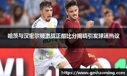 哈茨与汉密尔顿激战正酣比分揭晓引发球迷热议