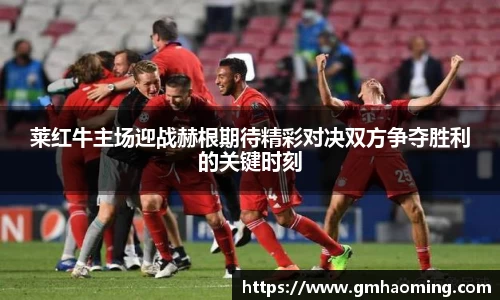 莱红牛主场迎战赫根期待精彩对决双方争夺胜利的关键时刻