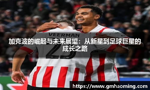 星空综合体育官方网站